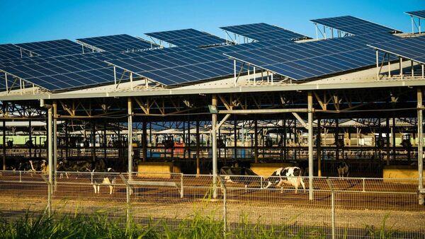 Agri-food systems helping to foster a cleaner, greener future