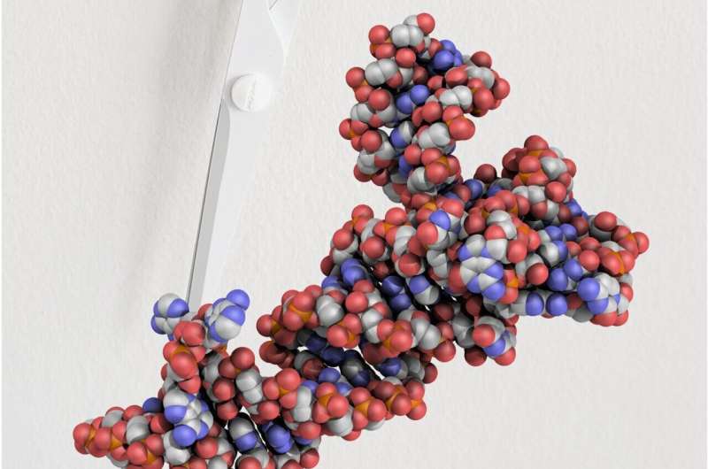 Molecular scissors caught in the act